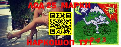 прущие грибы Канаш