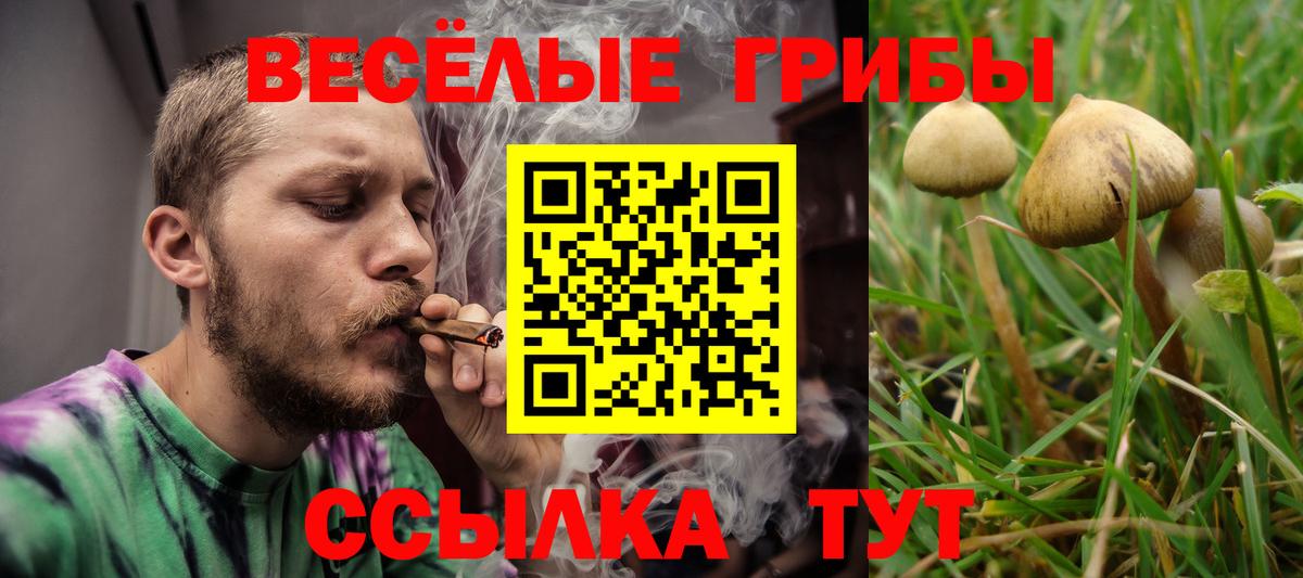 Псилоцибиновые грибы ЛСД Краснознаменск