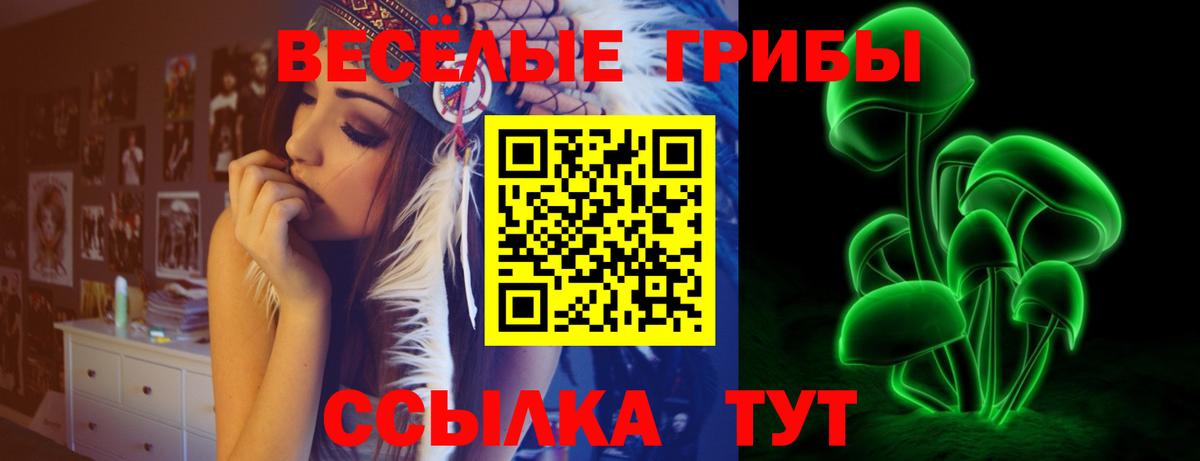 Краснознаменск  Галлюциногенные грибы прущие грибы  Вход с VPN  Галлюциногенные грибы Magic Shrooms 